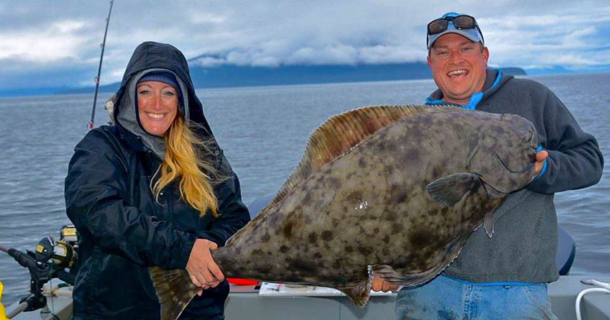 Alaskan Angler fishers catching an Alaskan halibut. 